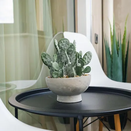 Sam Centre Harmony 1-bedroom * Burgas